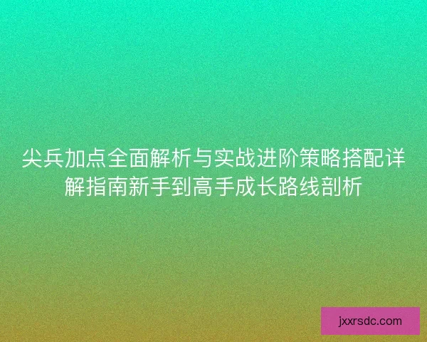 尖兵加点全面解析与实战进阶策略搭配详解指南新手到高手成长路线剖析